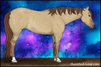 Horse Color:Red Dun Rabicano