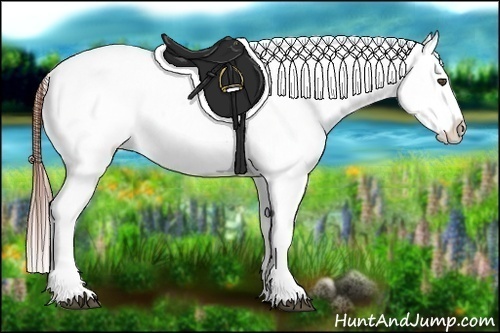 Horse Color:Blue Roan Appaloosa 