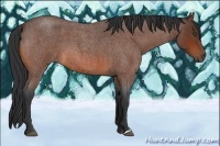 Horse Color:Bay Roan 