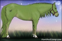 Horse Color:Watercolor Chestnut