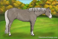 Horse Color:Silver Smoky Black Sabino 