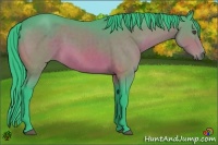 Horse Color:Watercolor Bay 