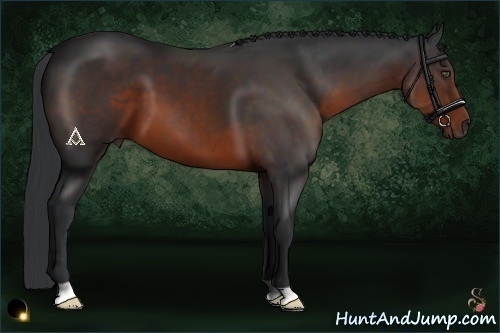 Horse Color:Brown 