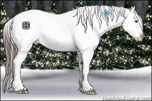 Horse Color:Liver Chestnut Frame Appaloosa 