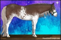 Horse Color:White Spotted Silver Bay 