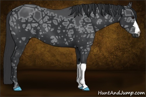 Horse Color:Black Ice