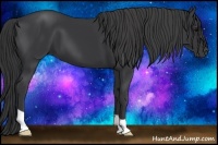 Horse Color:Black Frame