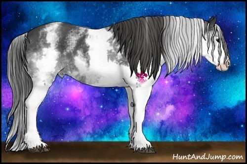 Horse Color:White Spotted Black Splash 