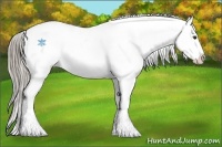 Horse Color:Chocolate Palomino Frame Snowflake Varnish 