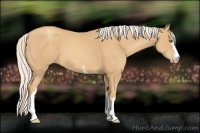 Horse Color:White Spotted Silver Amber Champagne
