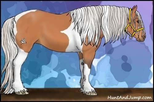 Horse Color:Silver Bay Tobiano 