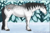 Horse Color:White Spotted Black Sabino