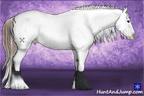 Horse Color:Buckskin Roan Frame Snowcap