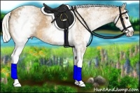 Horse Color:White Spotted Silver Buckskin Splash