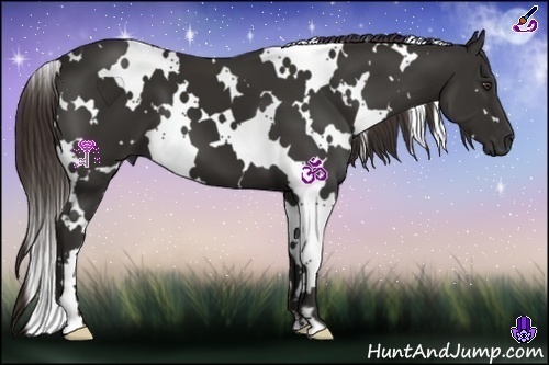 Horse Color:White Spotted Liver Chestnut Frame 