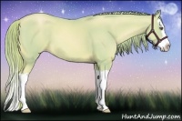 Horse Color:Watercolor Gold Champagne Splash 