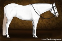 Horse Color:White Spotted Liver Chestnut Pearl Splash Blanket