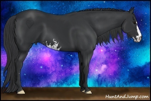 Horse Color:Black Sabino Frame 