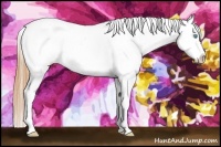 Horse Color:Amber Champagne Pearl Appaloosa 