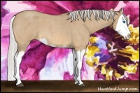 Horse Color:Silver Bay Roan Dun Splash 