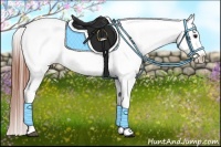 Horse Color:Bay Roan Blanket 