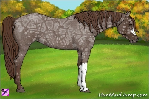 Horse Color:Liver Red Ice Roan 