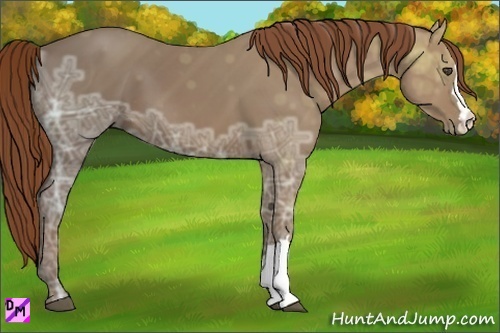 Horse Color:Chestnut Ice 