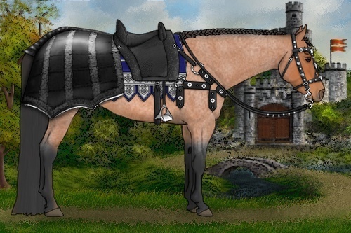 Horse Color:Bay Roan 