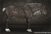 Horse Color:Silver Black Ice