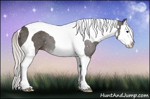 Horse Color:Silver Black Splash Tobiano