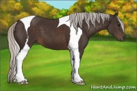 Horse Color:Silver Brown Tobiano 