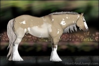 Horse Color:White Spotted Silver Brown Dun