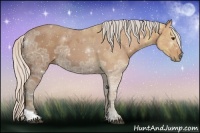 Horse Color:Silver Bay Ice Tobiano