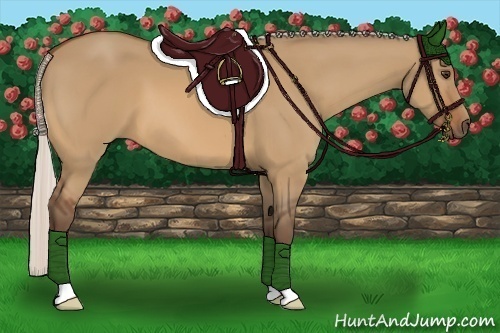 Horse Color:Silver Bay Dun