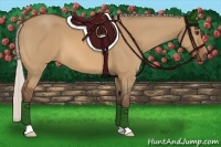 Horse Color:Silver Bay Dun 