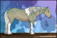 Horse Color:Watercolor Silver Brown Tobiano 