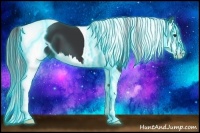 Horse Color:Thunderstruck Black Splash Tobiano