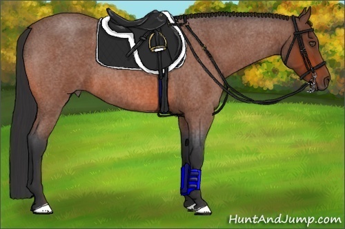 Horse Color:Bay Roan