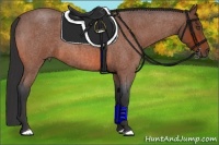 Horse Color:Bay Roan 