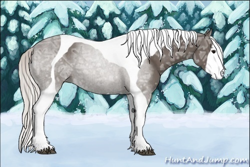 Horse Color:Silver Black Ice Tobiano