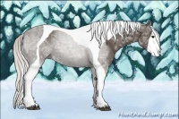 Horse Color:Silver Black Ice Tobiano 