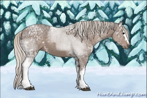 Horse Color:White Spotted Silver Black Ice Sabino 