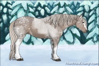 Horse Color:White Spotted Silver Black Ice Sabino
