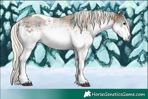 Horse Color:Plaid White Spotted Silver Black Tobiano Rabicano