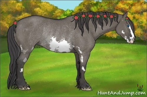 Horse Color:Grullo Splash Frame Rabicano 