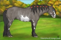 Horse Color:Grullo Splash Frame Rabicano 