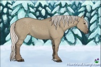 Horse Color:Silver Grullo Sabino Rabicano 