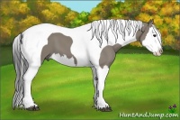 Horse Color:Smoky Grullo Splash Tobiano 