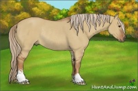 Horse Color:Red Dun Sabino Rabicano