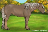 Horse Color:Chocolate Palomino
